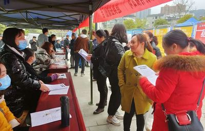 春風(fēng)如貴客 道真縣送崗上門三千，信息技術(shù)咨詢暖民心